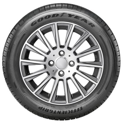 Pneu Goodyear Aro 15 Efficientgrip Perfomance 195/65R15 91H