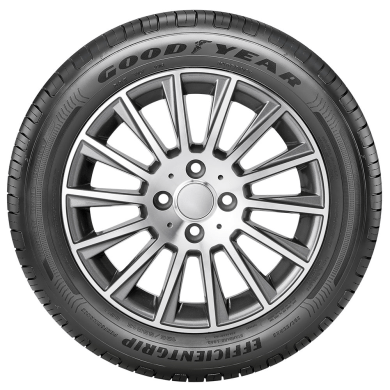 Pneu Goodyear Aro 16 Efficient Grip Performance 195/55R16 91V