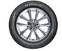 Pneu Nexen Aro 15 NPriz GX 195/60R15 88V